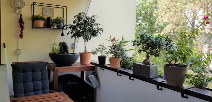 3,5-Zimmerwohnung in schöner Wohnlage von Singen-Nord zu verkaufen, mit Garage + Einbauküche!