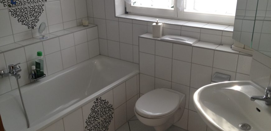 3-Zimmerwohnung mit sonnigem Balkon + Tiefgaragenstellplatz in ruhiger Lage von Rielasingen, FREI ab Februar 2019!!!