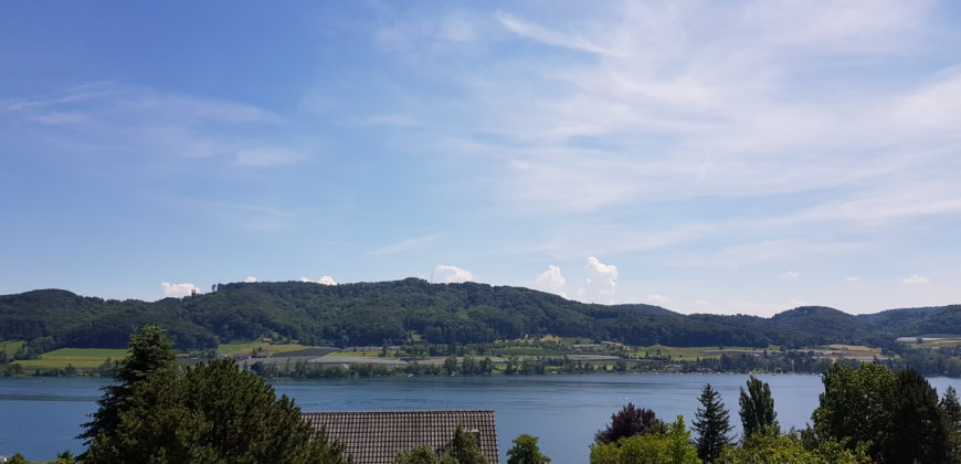 Wohnen – Leben – Geniessen, dort wo andere Urlaub machen! Traumhafte Doppelhaushälfte mit Seeblick auf der schönen Halbinsel Höri – frei ab 01.10.2020
