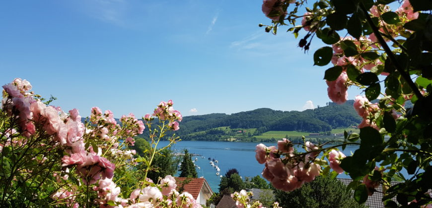 Wohnen – Leben – Geniessen, dort wo andere Urlaub machen! Traumhafte Doppelhaushälfte mit Seeblick auf der schönen Halbinsel Höri – frei ab 01.10.2020