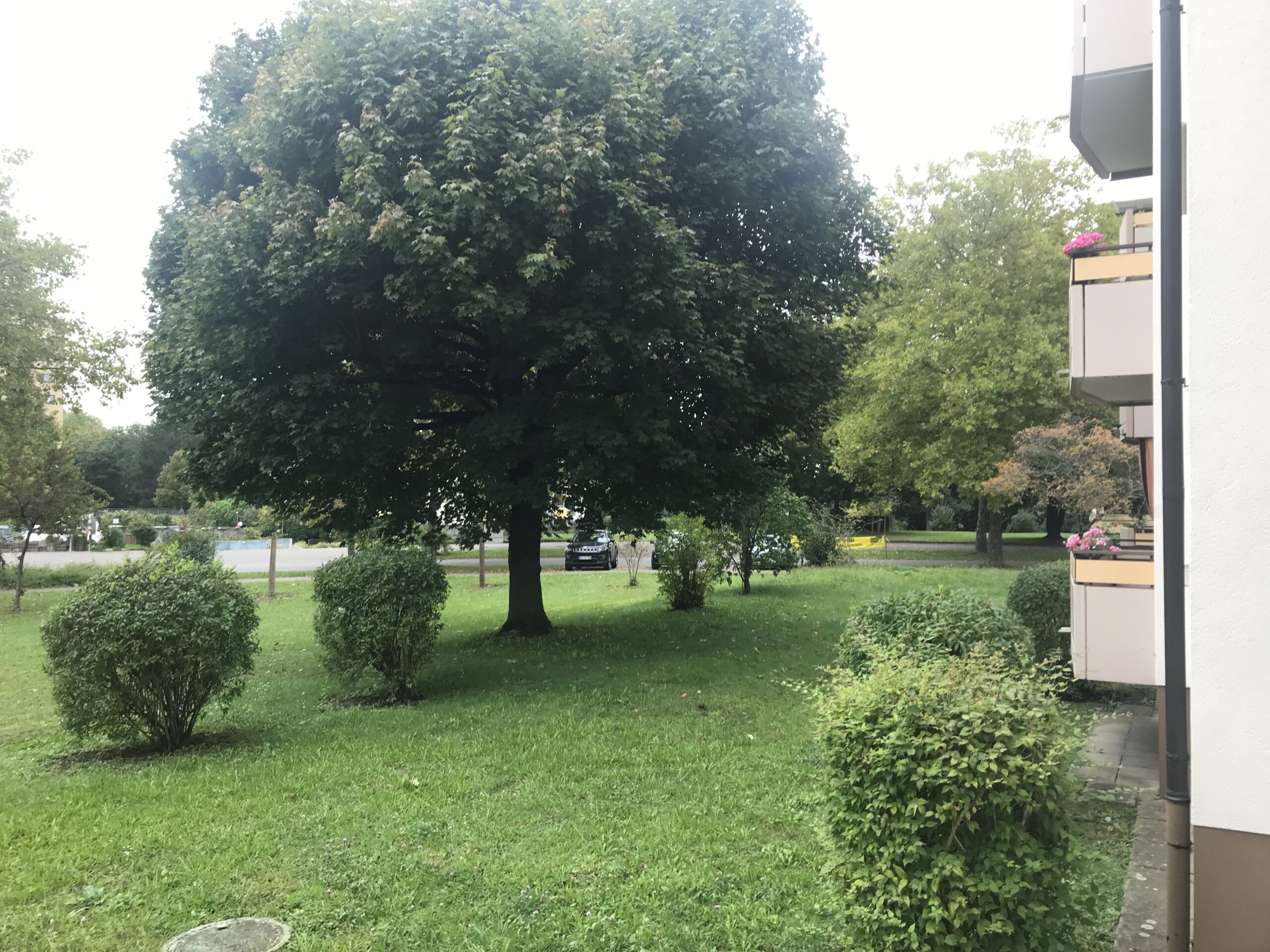 Reserviert – 3,5-Zimmer-ETW Singen/Nord