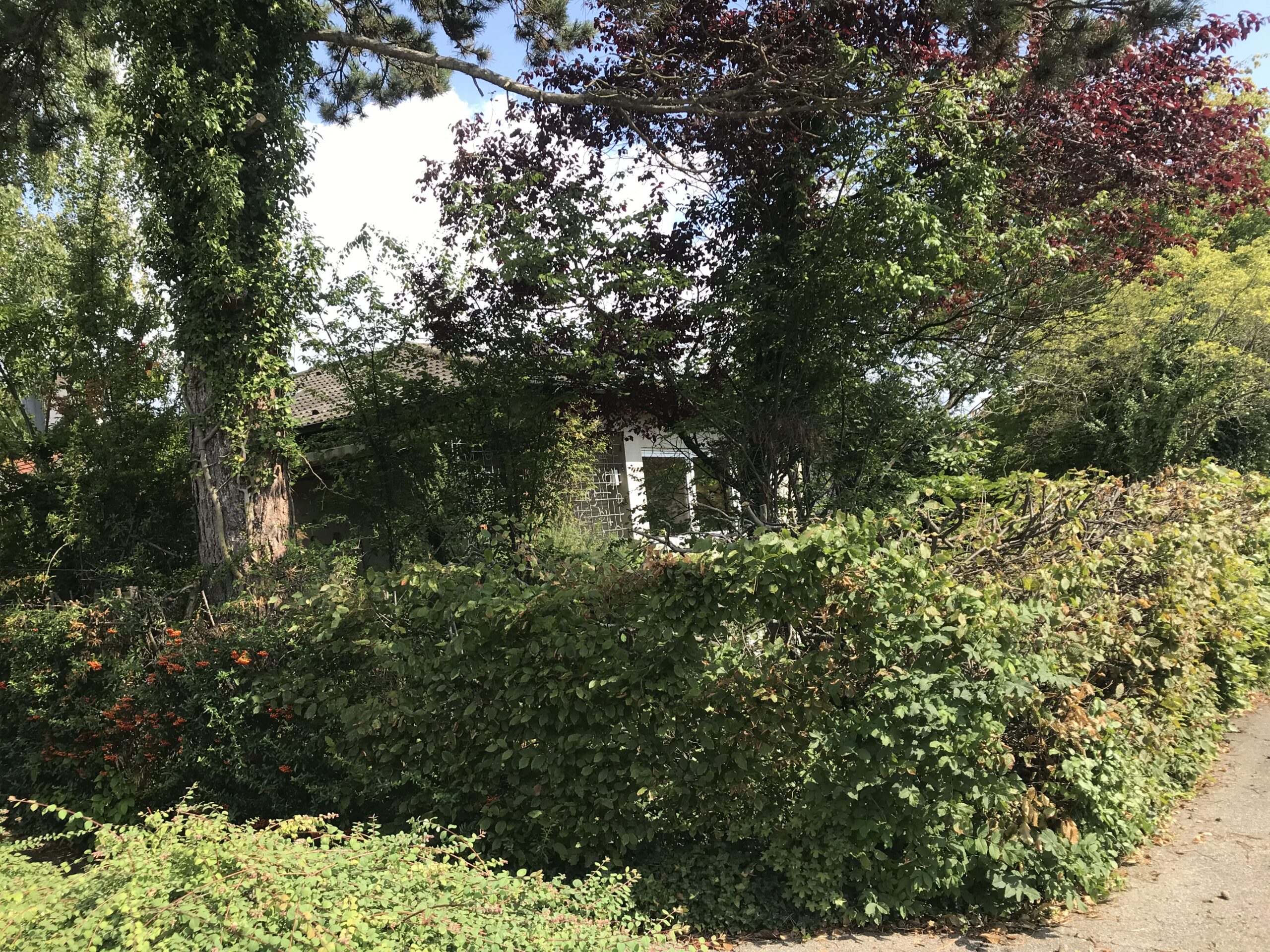 Preisreduzierung – Freistehendes 1-Familien-Wohnhaus  in Singen